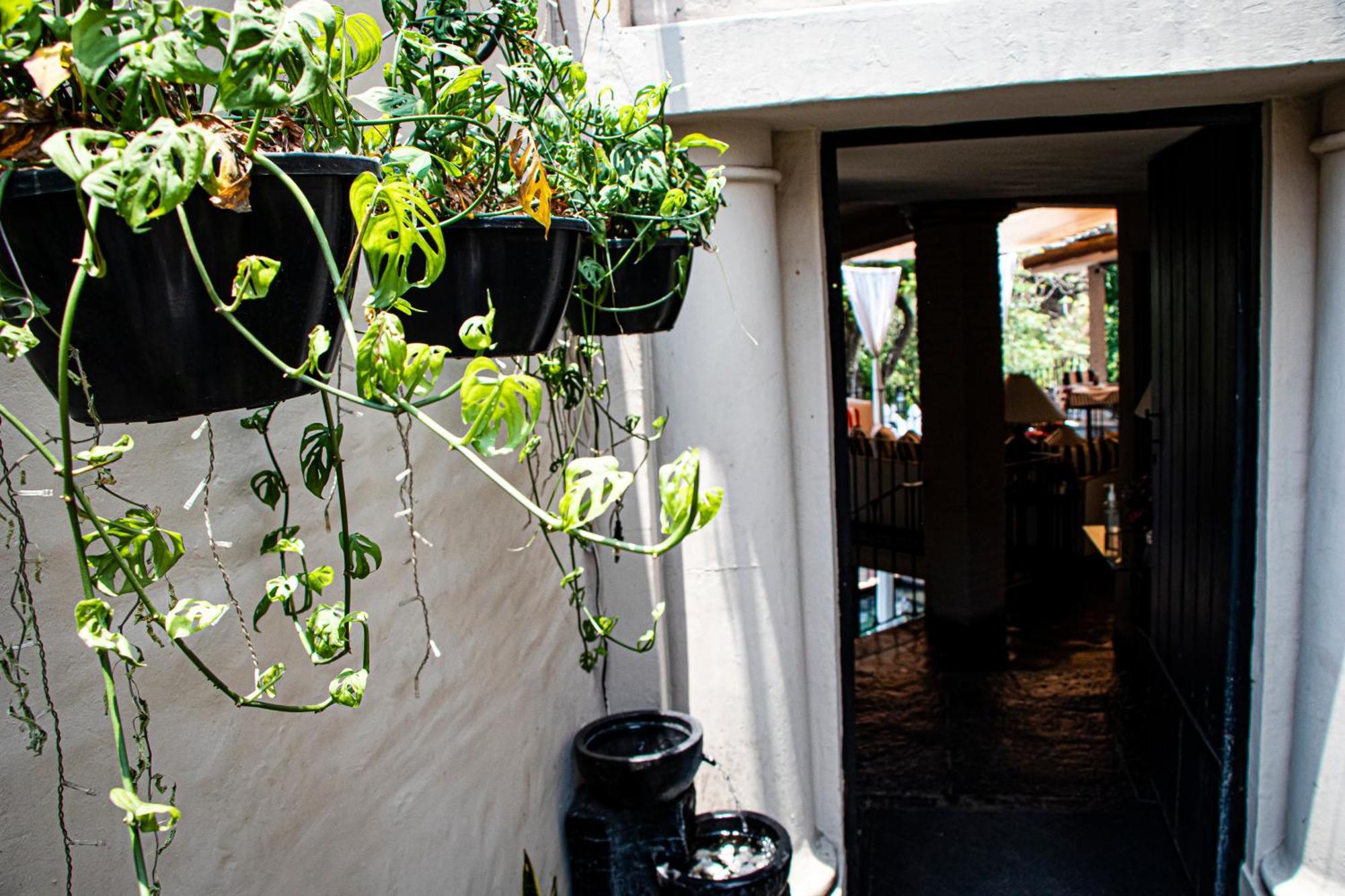 Il Piccolo Peccato (Adults Only) Hotel Cuernavaca Ngoại thất bức ảnh