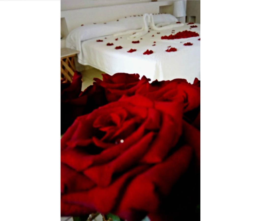 Il Piccolo Peccato (Adults Only) Hotel Cuernavaca Ngoại thất bức ảnh